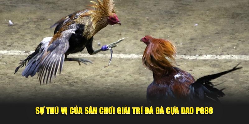 Sự thú vị của sân chơi giải trí đá gà cựa dao PG88