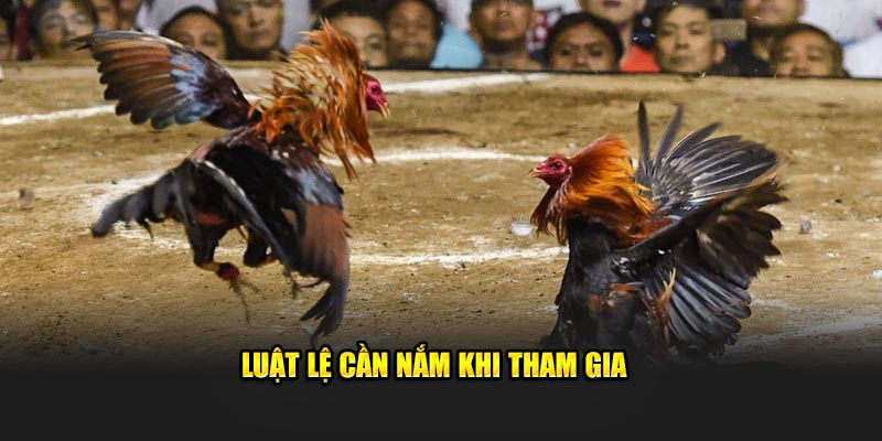 Luật lệ cần nắm khi tham gia 